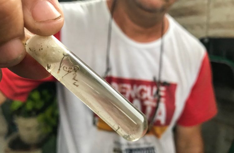 Surto de chikungunya em Campos-RJ