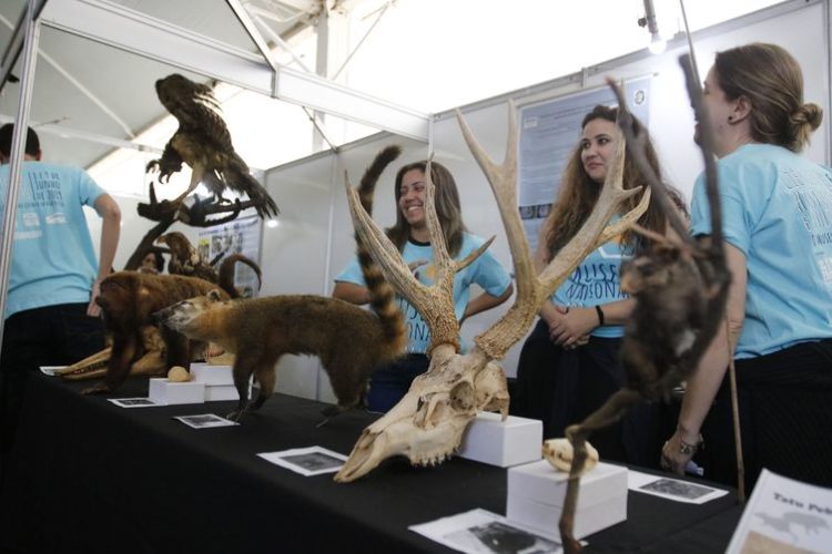 Museu Nacional comemora 201 anos com diversas atividades em espaço montado na Quinta da Boa Vista, no Rio de Janeiro | Foto: EBC