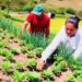 Agricultura Familiar é uma alternativa ao esgotamento da revolução verde