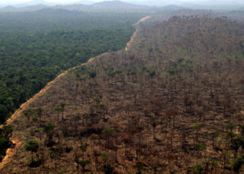 Derrubada de Floresta na Amazônia