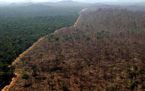 Derrubada de Floresta na Amazônia