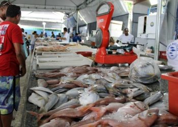 Mercado de Peixes de Macaé-RJ