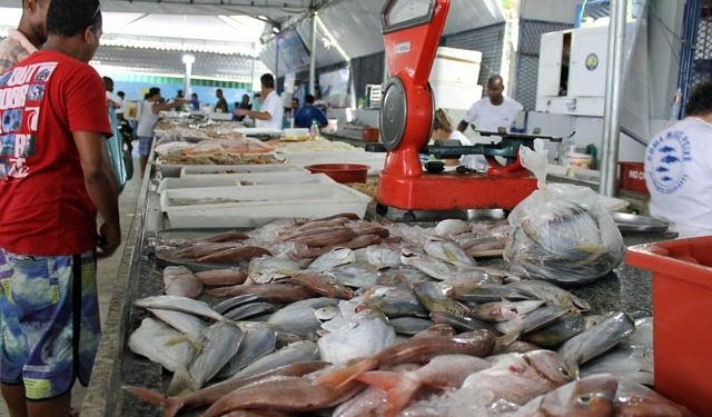 Mercado de Peixes de Macaé-RJ