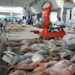Mercado de Peixes de Macaé-RJ