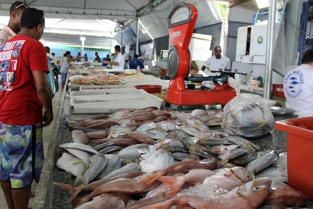 Mercado de Peixes de Macaé-RJ