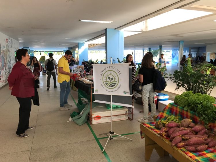 Feira de Responsabilidade Social em Macaé