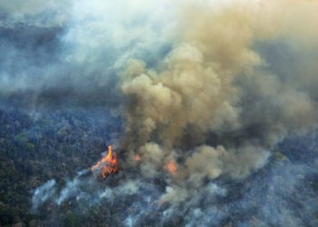 Queimadas na Amazônia em 2019