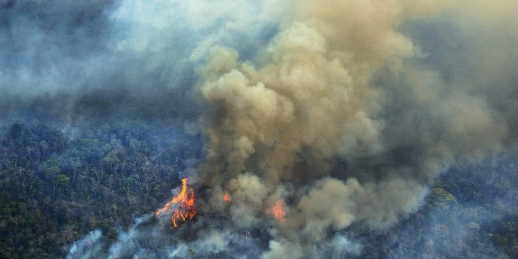 Queimadas na Amazônia em 2019