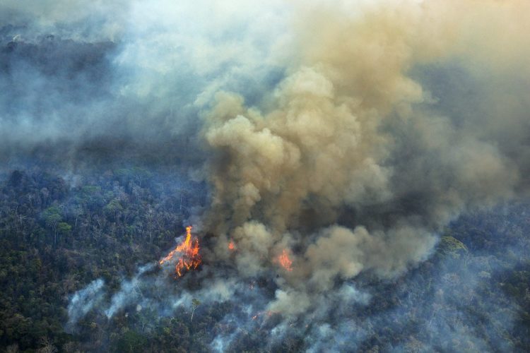 Queimadas na Amazônia em 2019