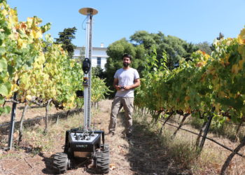Vinbot o robô que atua no cultivo e plantio de uva