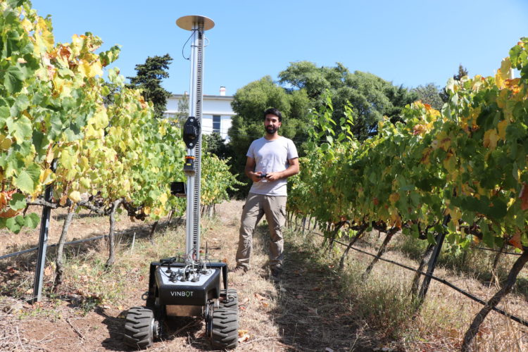 Vinbot o robô que atua no cultivo e plantio de uva