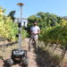 Vinbot o robô que atua no cultivo e plantio de uva