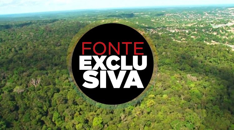 #FonteExclusiva verifica informação sobre o Sínodo da Amazônica