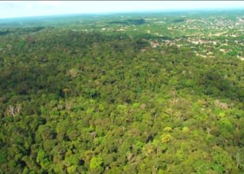 Floresta Amazônica