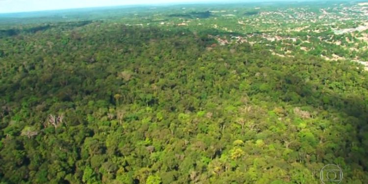 Floresta Amazônica
