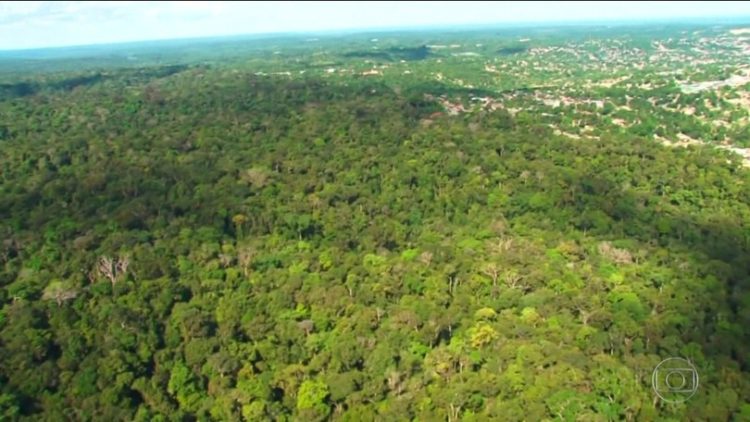 Floresta Amazônica