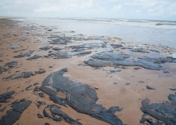 Oleo nas praias do Nordeste