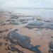 Oleo nas praias do Nordeste