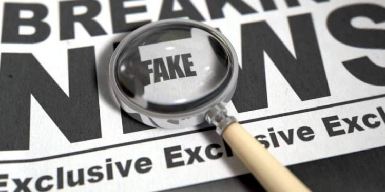 Guia da OEA para combate as Fake News