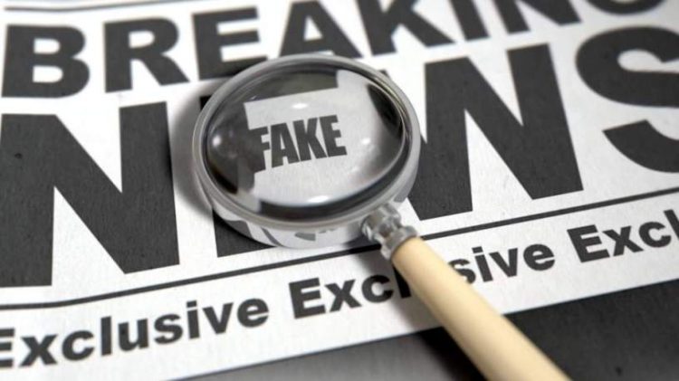 Guia da OEA para combate as Fake News