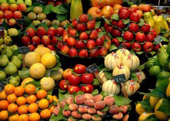 Trabalhadores na Fruticultura brasileira