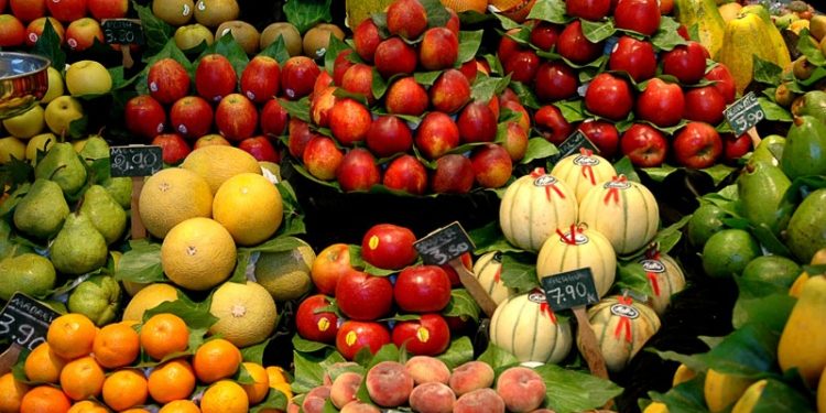 Trabalhadores na Fruticultura brasileira