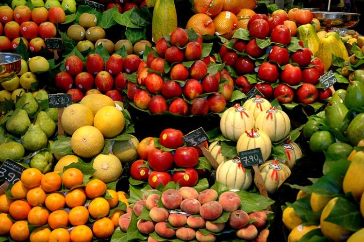 Trabalhadores na Fruticultura brasileira