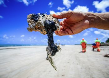 Praias contaminadas com óleo cru