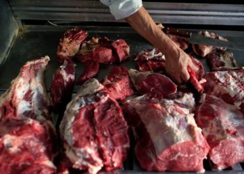 Carne bovina