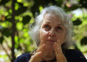 Escritora Vilma Arêas