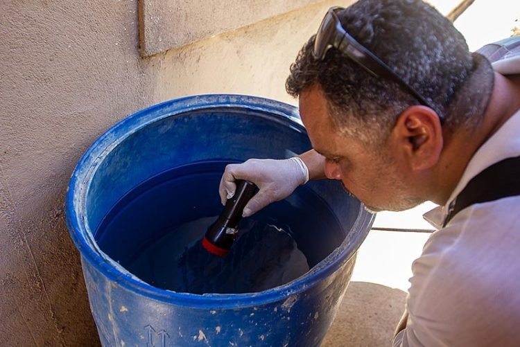Combate ao mosquito da dengue em Macaé-RJ