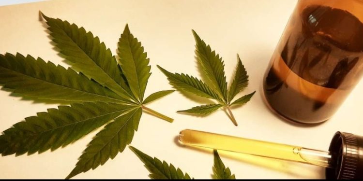 Uso medicinal da Cannabis