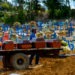 Mortes por Covid-19 no Brasil