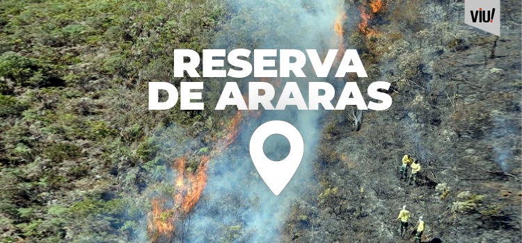 Fogo na Reserva de Araras-RJ