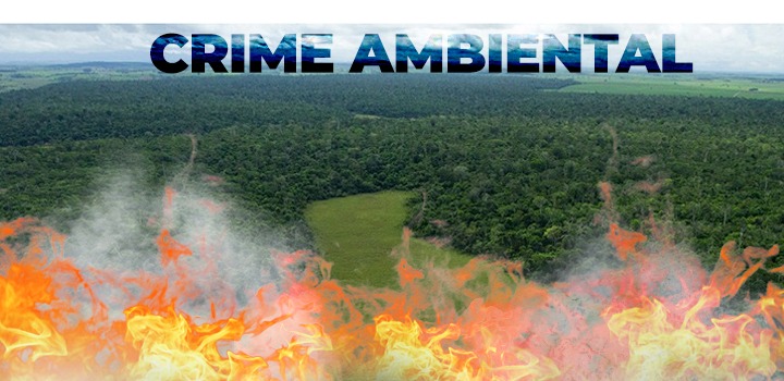 Crime ambiental - Queimadas em São Francisco