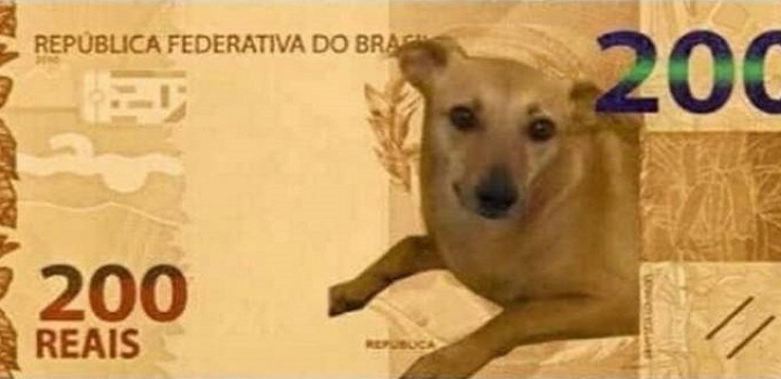 Banco Central confirmou ao Estadão que está avaliando uma ação envolvendo o famoso vira-lata caramelo