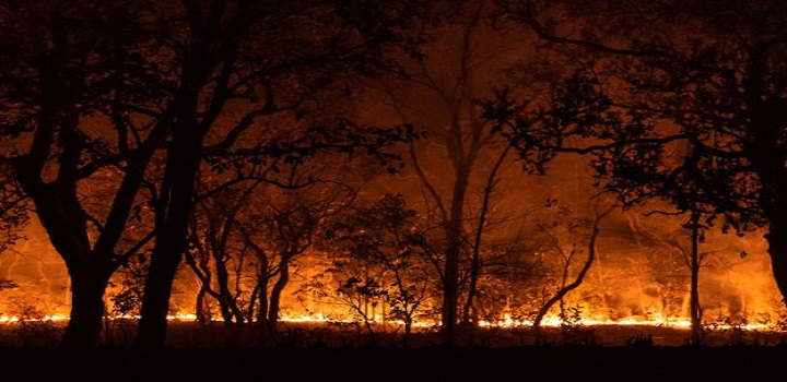 Governo de MT anuncia decreto de calamidade por causa de incêndios florestais