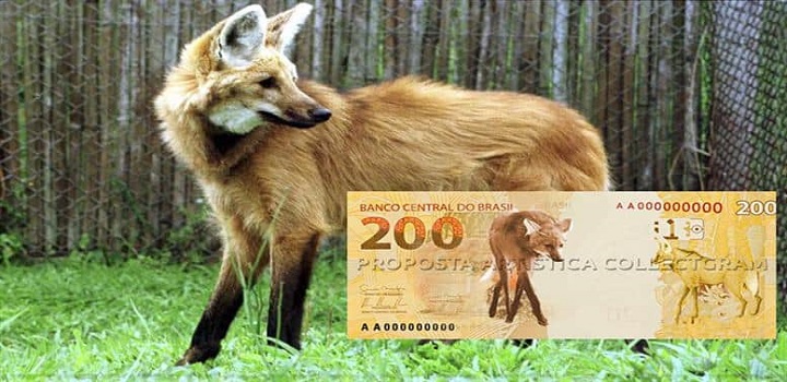 Nova cédula de 200 REAIS
