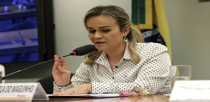 deputada federal Daniela do Waguinho