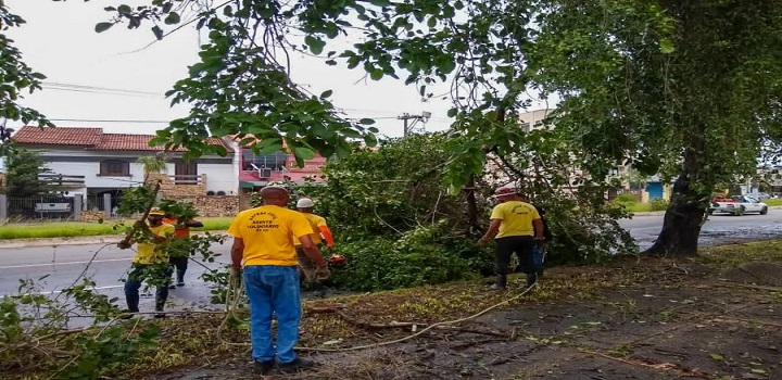 CHUVAS EM CAMPOS