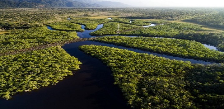 Amazonia