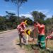 RJ-208 ganha sinalização