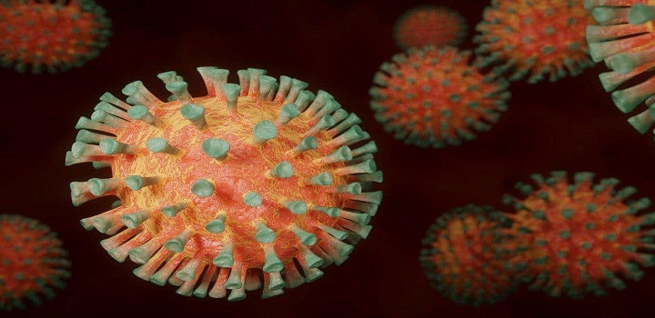 Reinfecção Covid Brasil
