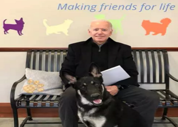 Major Biden, cão adotado em abrigo pela família Biden