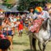Campos dos Goytacazes - Santo Amaro - Cavalhada