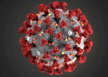 Cepa - Coronavirus Amazonas