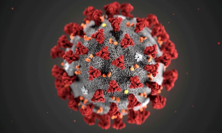 Cepa - Coronavirus Amazonas