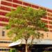 Hospital de Mato Grosso do Sul