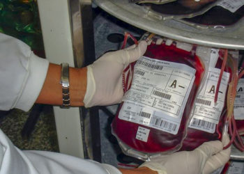 Estoque de sangue no Hemocentro