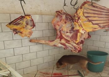 açougue em Campos, no Norte Fluminense, foi interditado, na manhã desta quinta-feira (4),